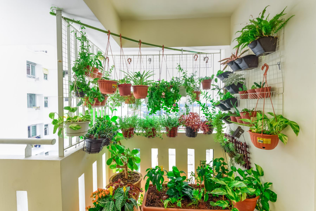 Como fazer uma horta em apartamento