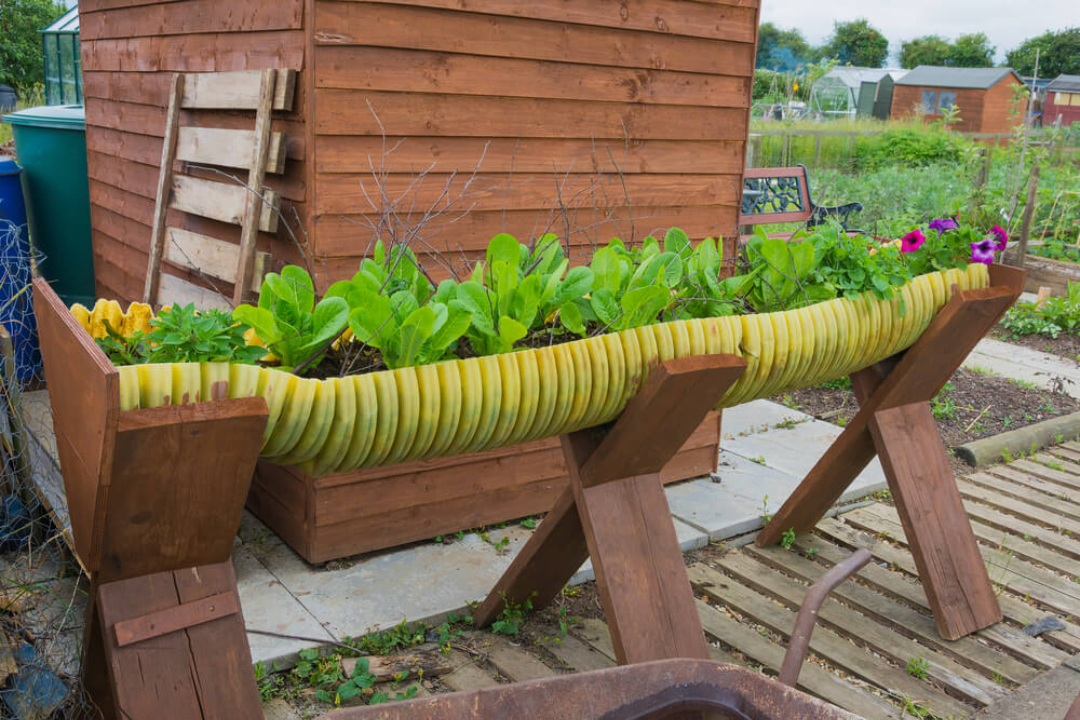 Jardim com materiais reciclados